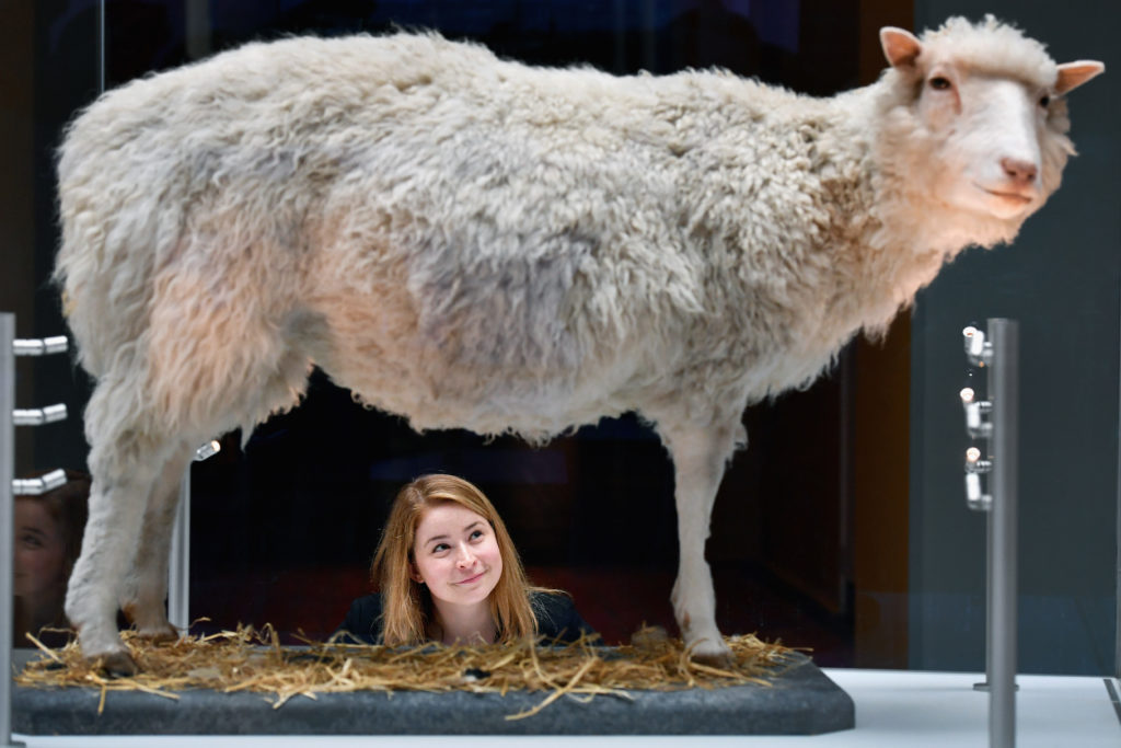 Museum Of Scotland Opens Ten New Galleries